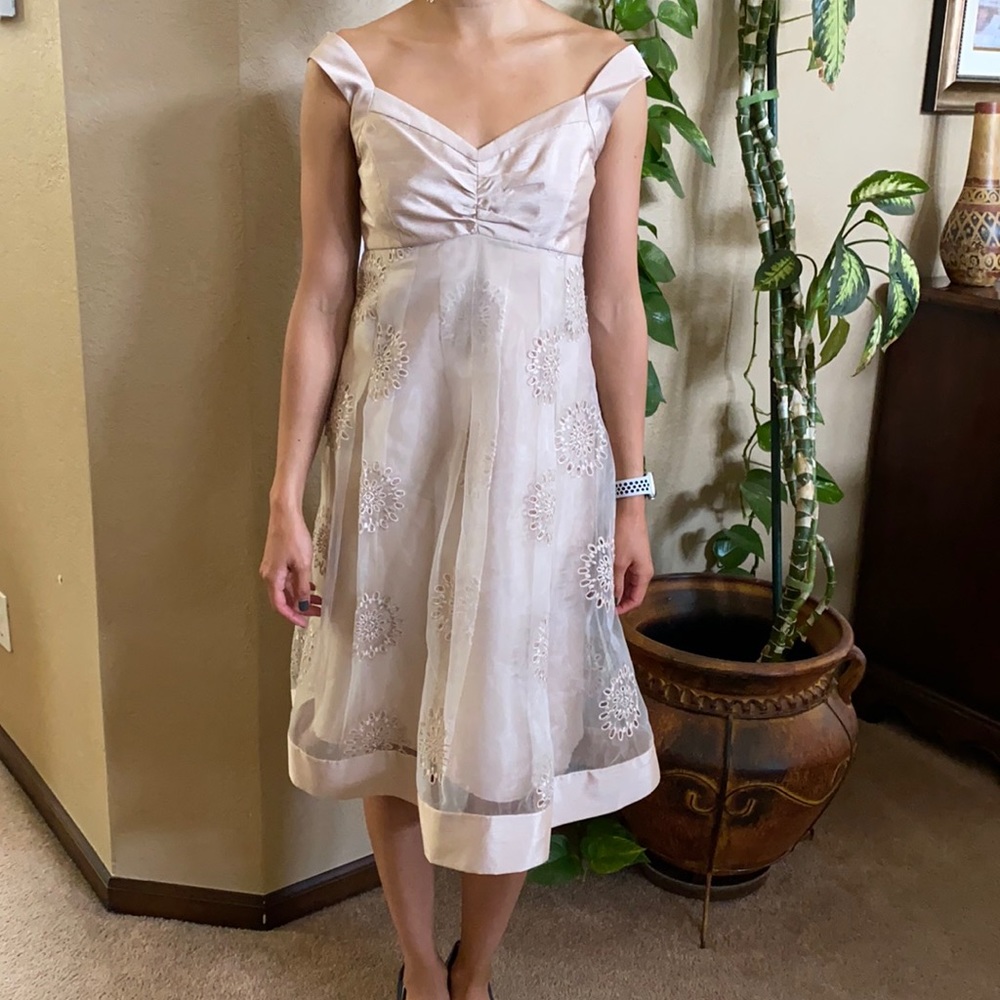 Beautifully crafted lace dress